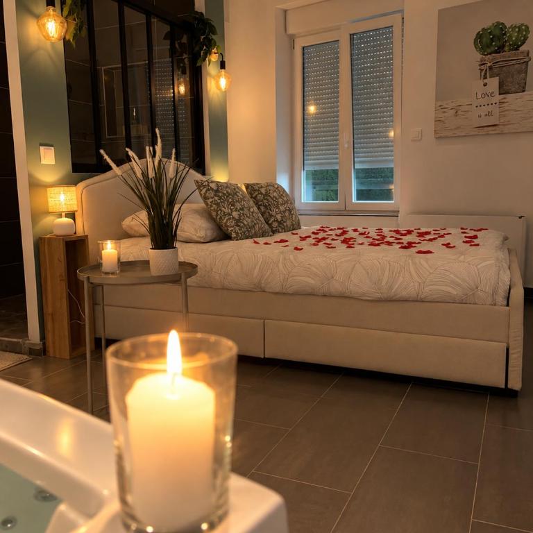 Le Cocon des Rives - Apartment mit 1 Schlafzimmer - 4