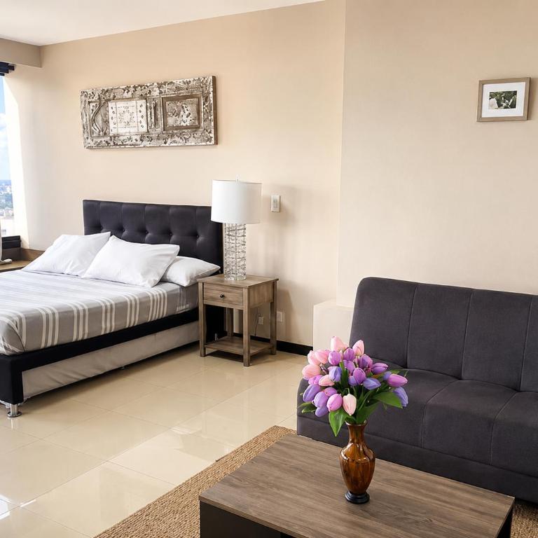 Apartamentos - Torre de Cali - Apartamento Estudio - 5