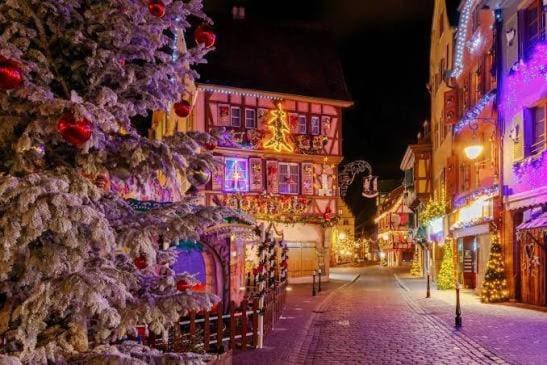 Au coeur de Strasbourg, une adresse d'exception - Appartement 2 Chambres - 13