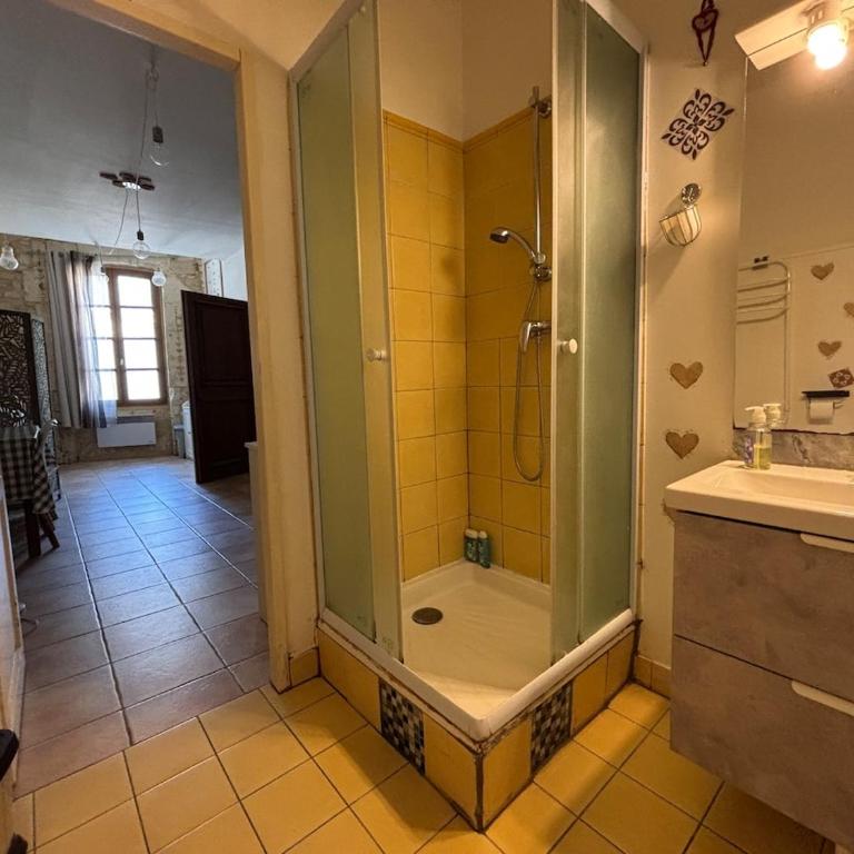 Historic center studio - Roman baths - Appartement 1 Chambre - 2