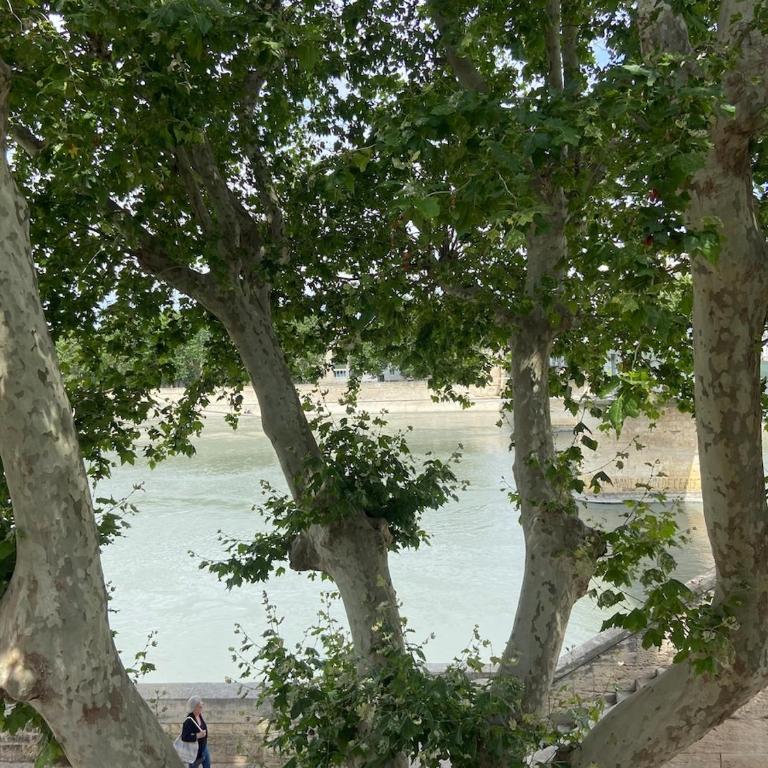 Panoramic view of the Rhône in the heart of Arles - Appartamento con 2 Camere da Letto - 17