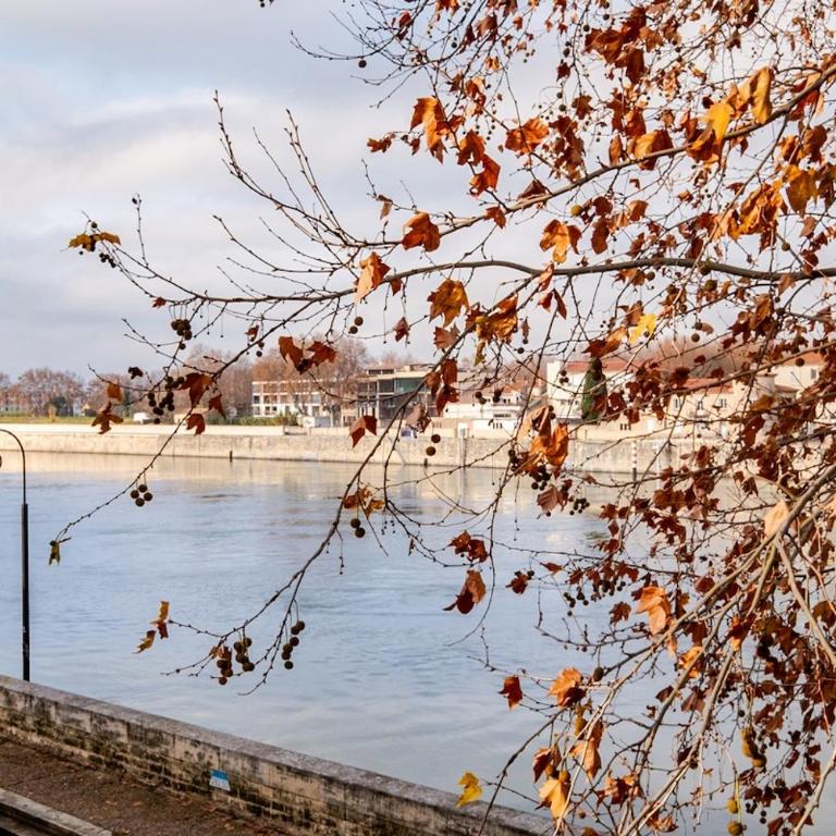 View of the Rhône in the heart of Arles - Appartamento con 2 Camere da Letto - 9