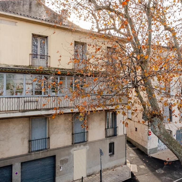 View of the Rhône in the heart of Arles - Appartamento con 2 Camere da Letto - 23