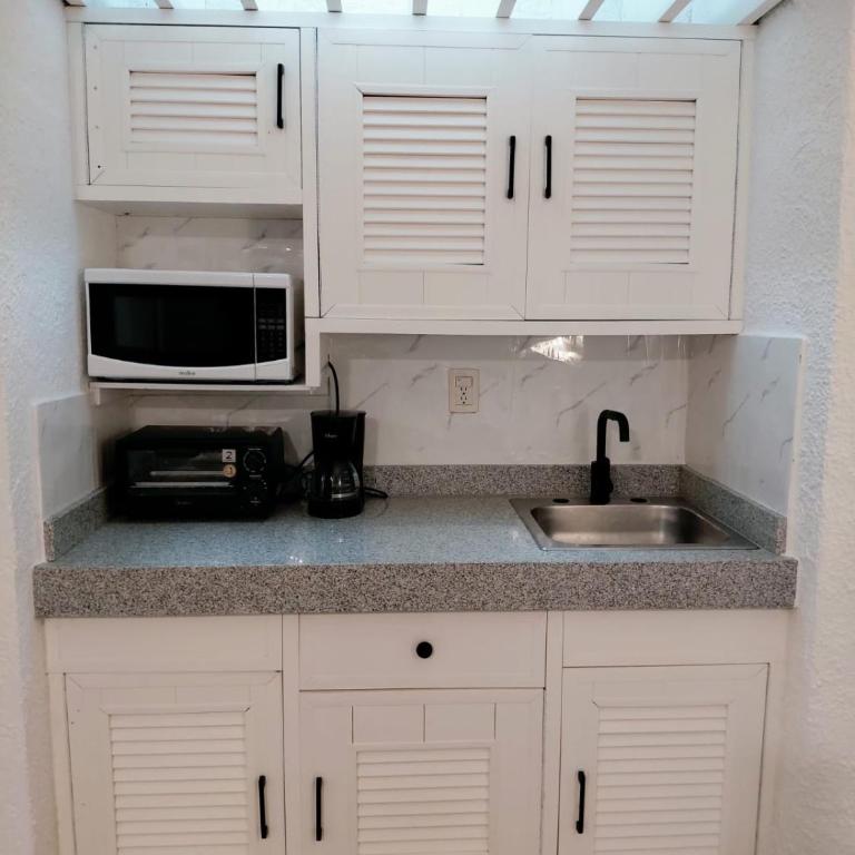 Gorgeous Caribbean Ocean View - One-Bedroom Apartment - 5