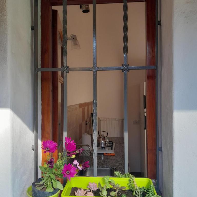 Jazmines Serranos - Two-Bedroom House - 12