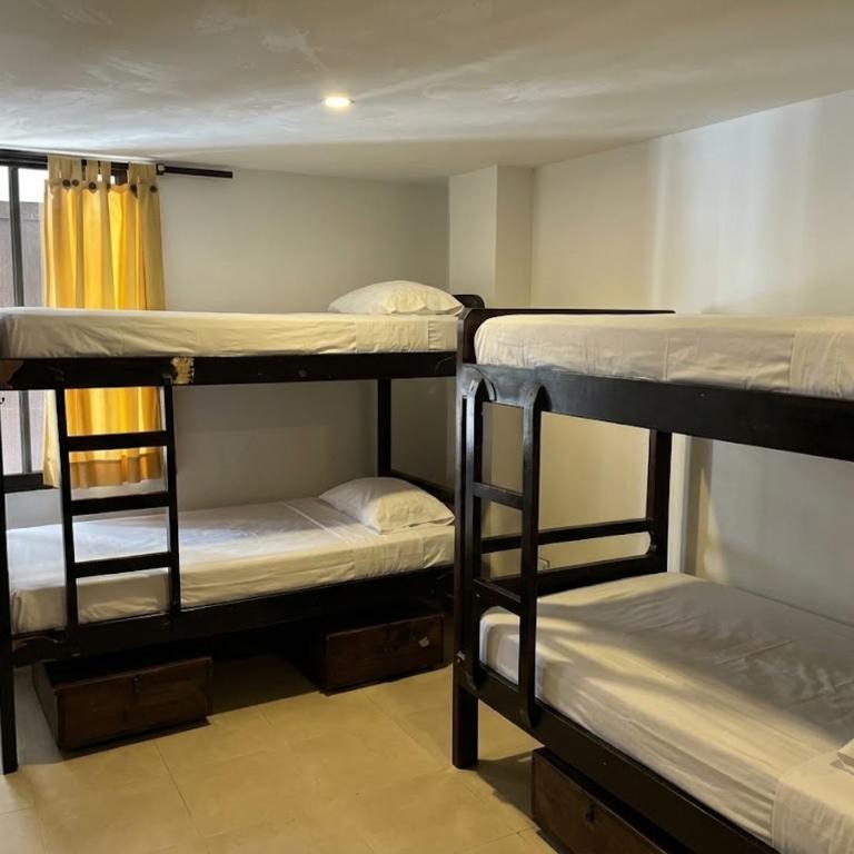 Casa Kiwi Hostel - Single Bed in 6-Bed Dormitory Room - 1