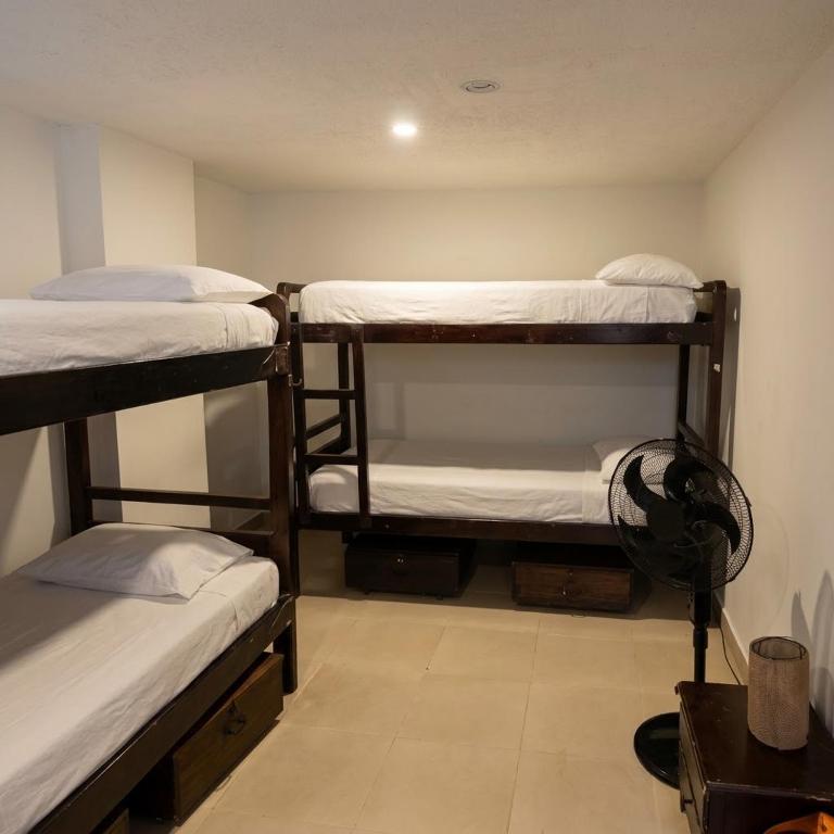 Casa Kiwi Hostel - Single Bed in 6-Bed Dormitory Room - 3