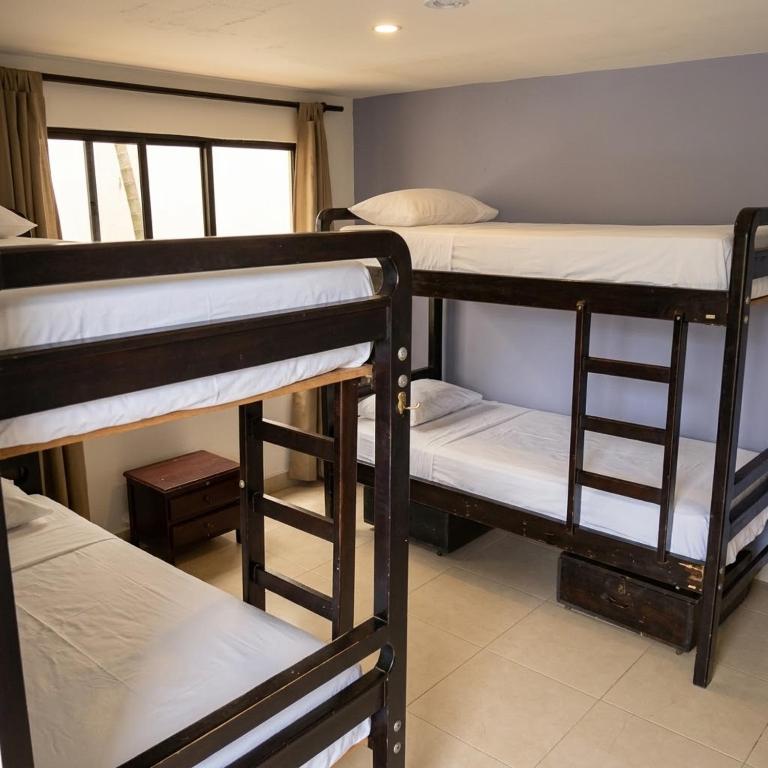 Casa Kiwi Hostel - Bunk Bed in Female Dormitory Room - 1