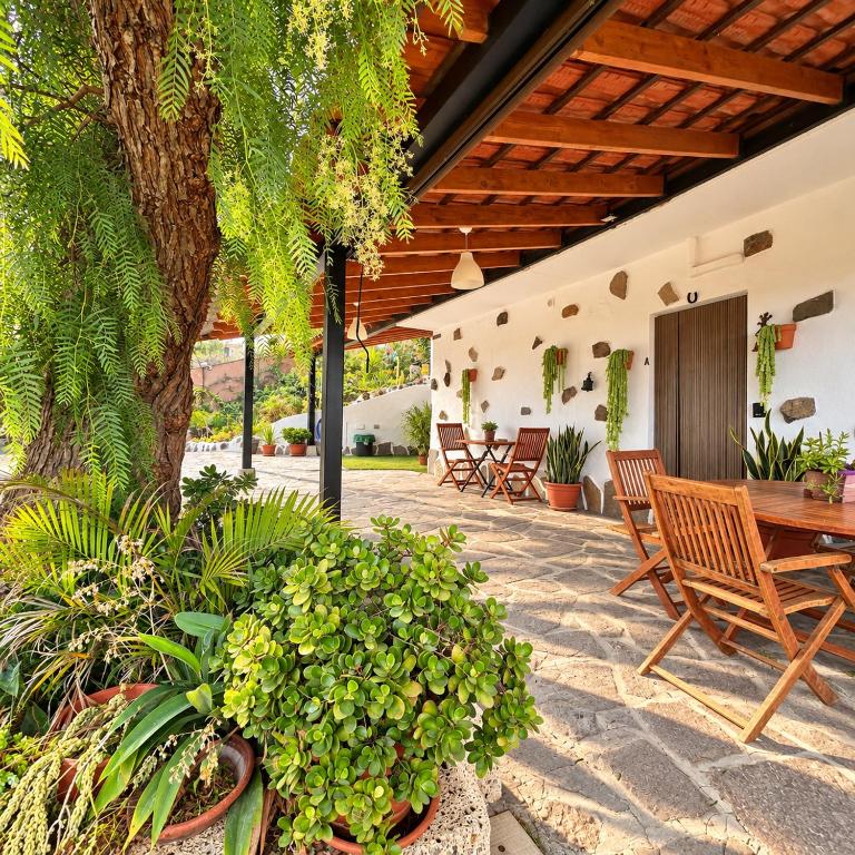 VV Finca El Toscalito - Casa - 43