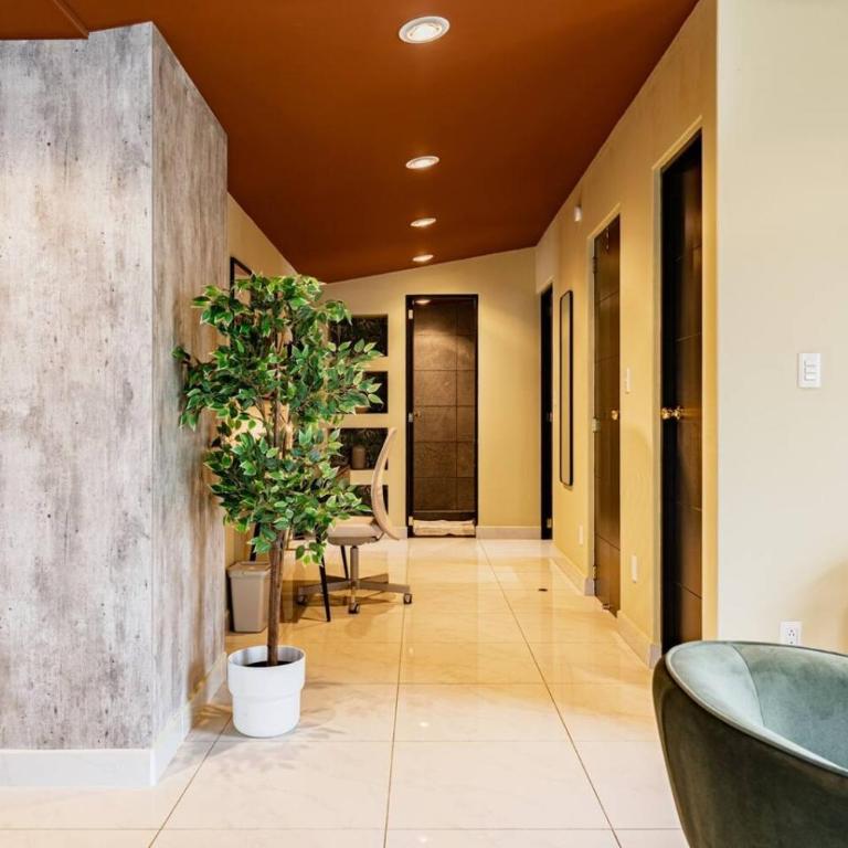 Serene CDMX Stay Modern - Apartment - 24