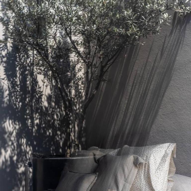 Walk to Cafes Parks and Restaurants Roma Norte - Apartment - 25