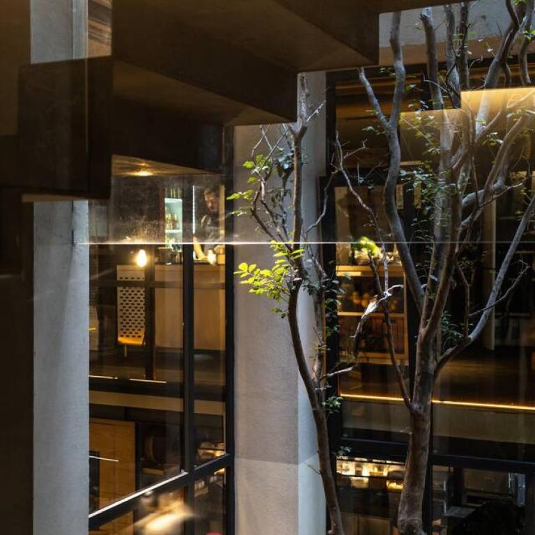 Walk to Cafes Parks and Restaurants Roma Norte - Apartment - 42
