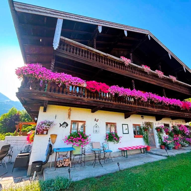 Schweinsteiger Hof - Apartment - 1