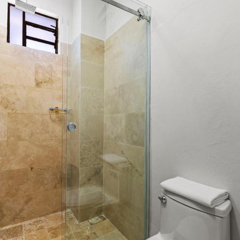 Suites Reforma by HomiRent - Suite with Terrace - 1