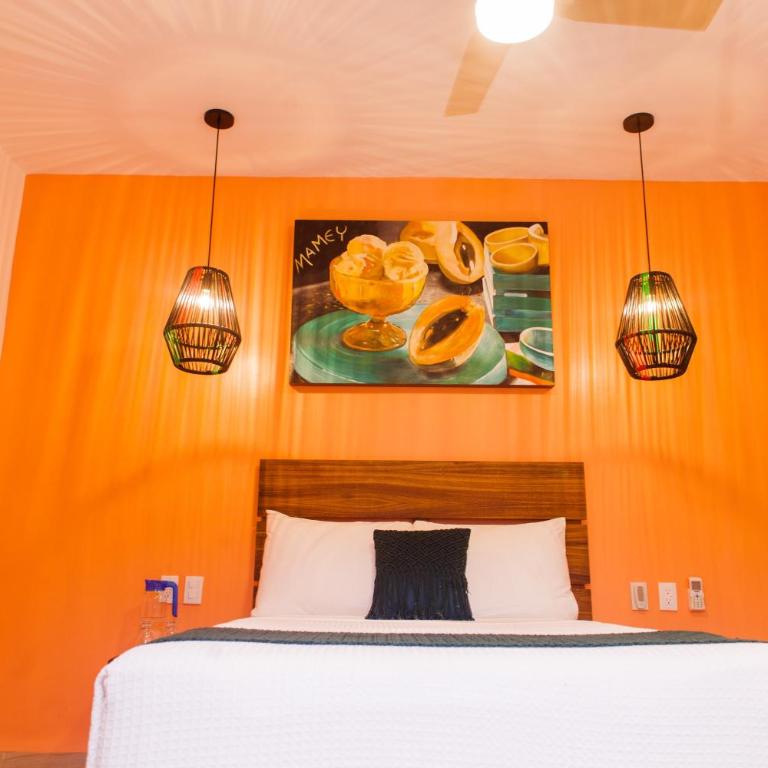 Collection O Latino Boutique Tulum - Standard - 5