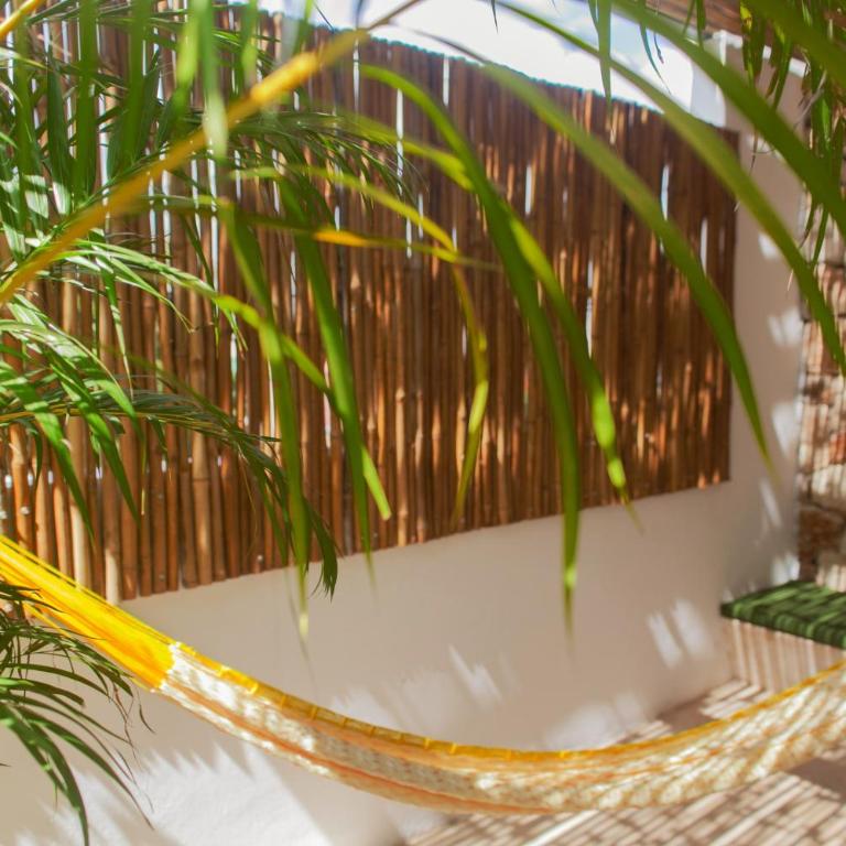 Collection O Latino Boutique Tulum - Superior Zimmer mit Aussicht - 11