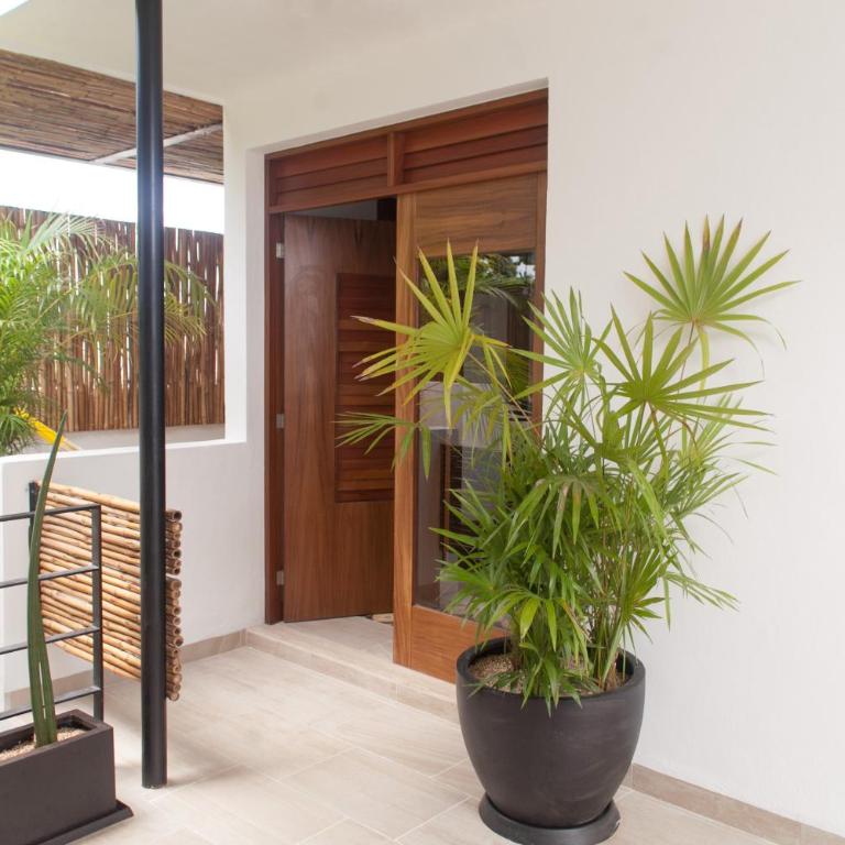 Collection O Latino Boutique Tulum - Superior Zimmer mit Aussicht - 13