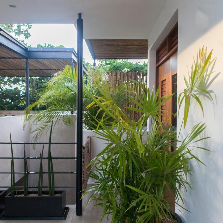 Collection O Latino Boutique Tulum - Superior Zimmer mit Aussicht - 8