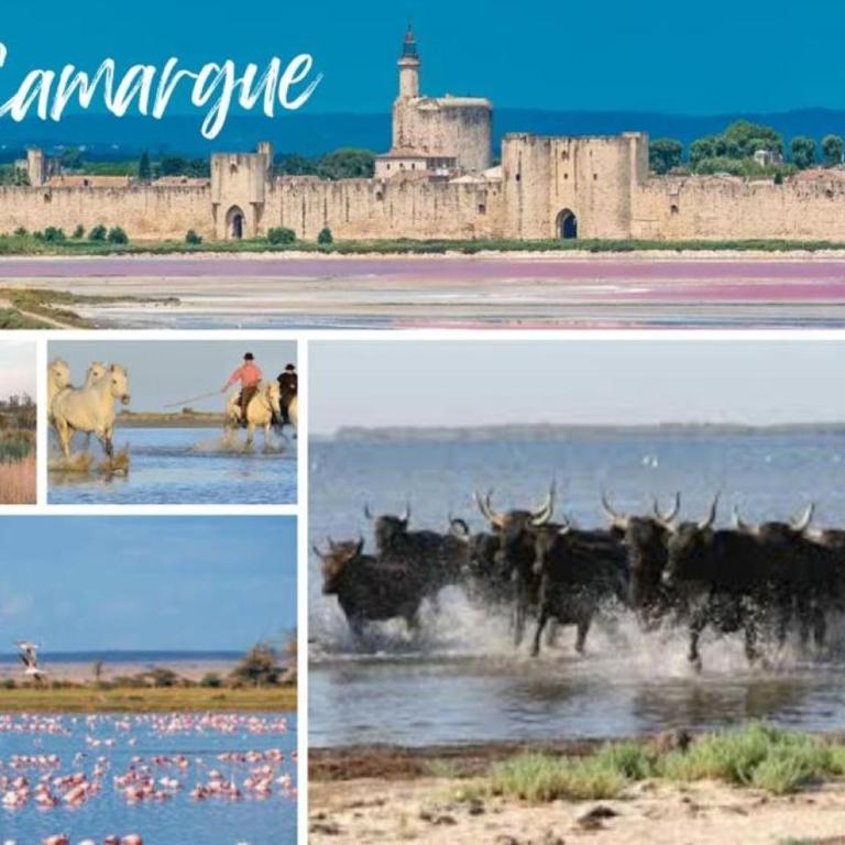 En Automne- Visitez la Provence- Villa 3 chambres-6 personnes- jardin & piscine - Three-Bedroom House - 74