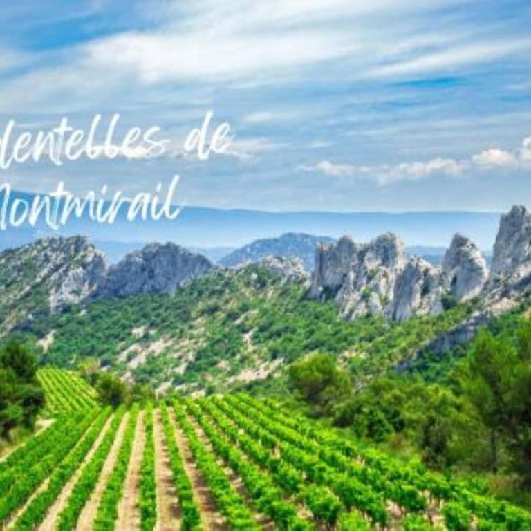 En Automne- Visitez la Provence- Villa 3 chambres-6 personnes- jardin & piscine - Three-Bedroom House - 81
