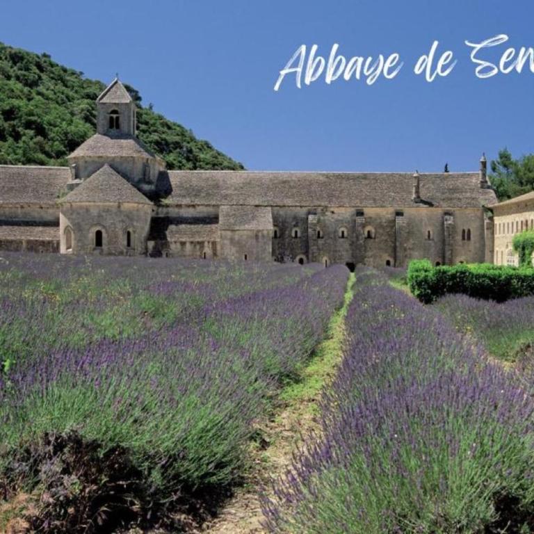 En Automne- Visitez la Provence- Villa 3 chambres-6 personnes- jardin & piscine - Three-Bedroom House - 83