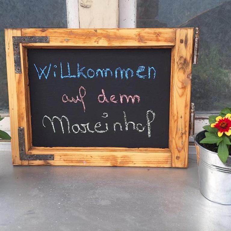 Mareinhof Vetzan-Apples,apartments&more - Appartamento con 2 Camere da Letto - 41