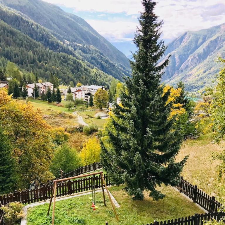 Alpine Dream - Appartamento con 1 Camera da Letto - 7
