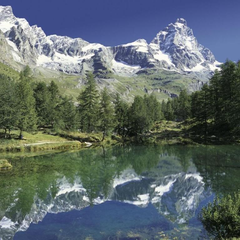 Alpine Dream - Appartamento con 1 Camera da Letto - 8