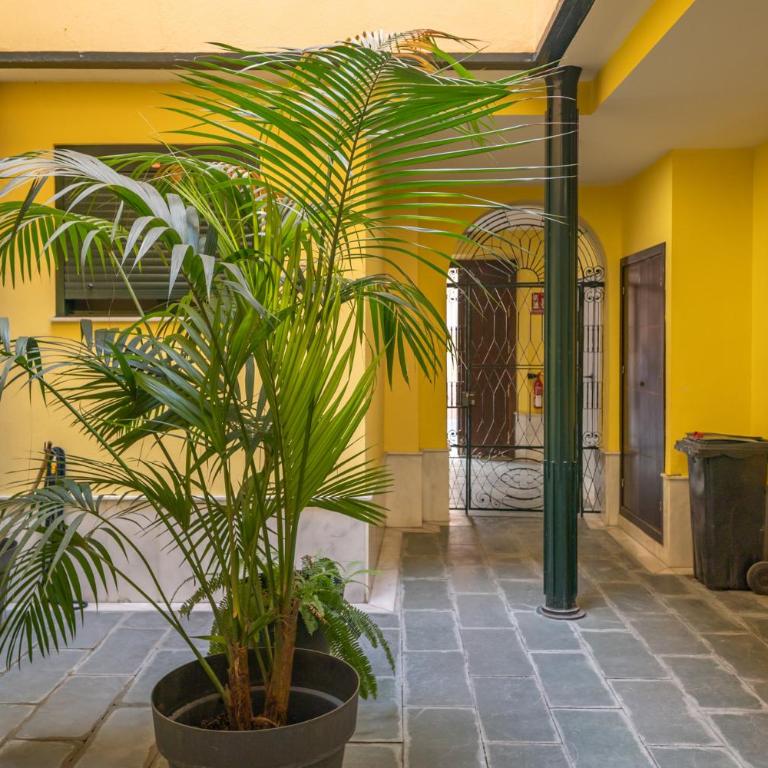 Buenaventura Duplex Terrace 2 PAX - Apartamento de 1 dormitorio - 8