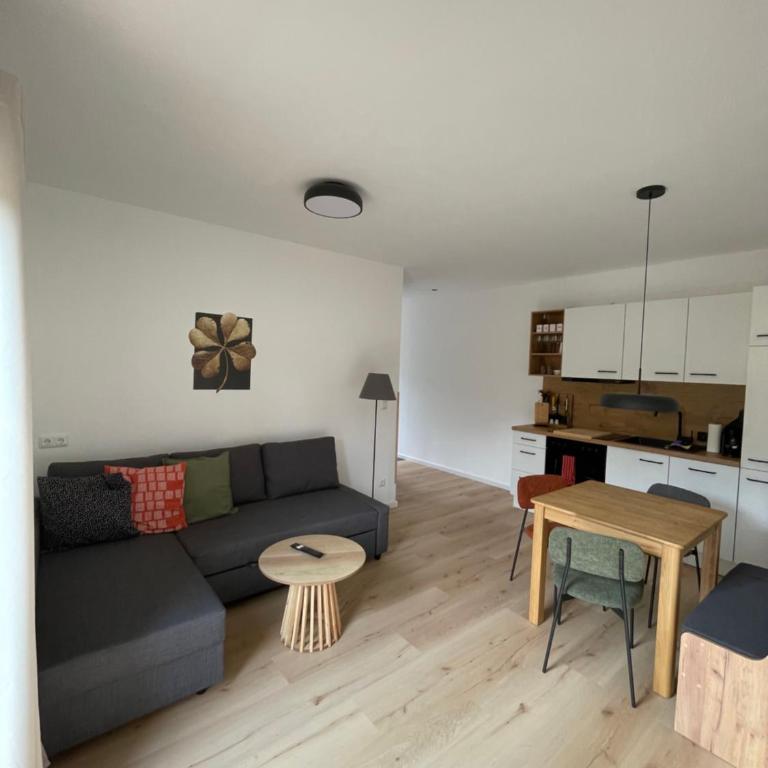 Villa Lidl Ferienwohnung - One-Bedroom Apartment - 21