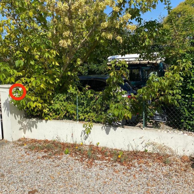 L'Oyat du Bassin - Appartement 1 Chambre - 21