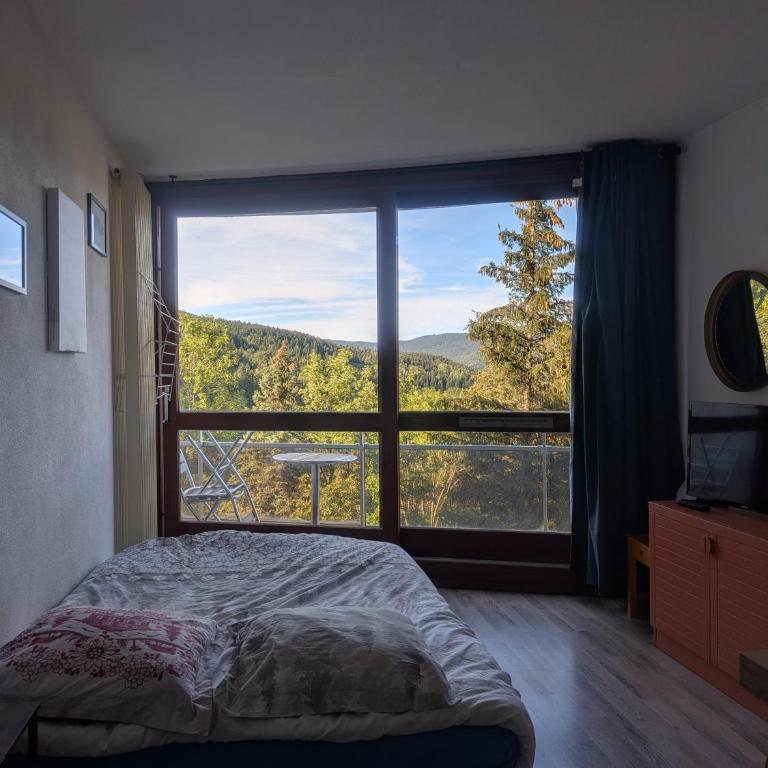 Studio aux pieds des pistes - Le Balcon de Villard - Studio - Vue sur Montagne - 2