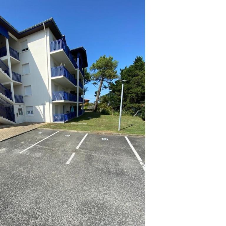 L'Oyat du Bassin - Appartement 1 Chambre - 20