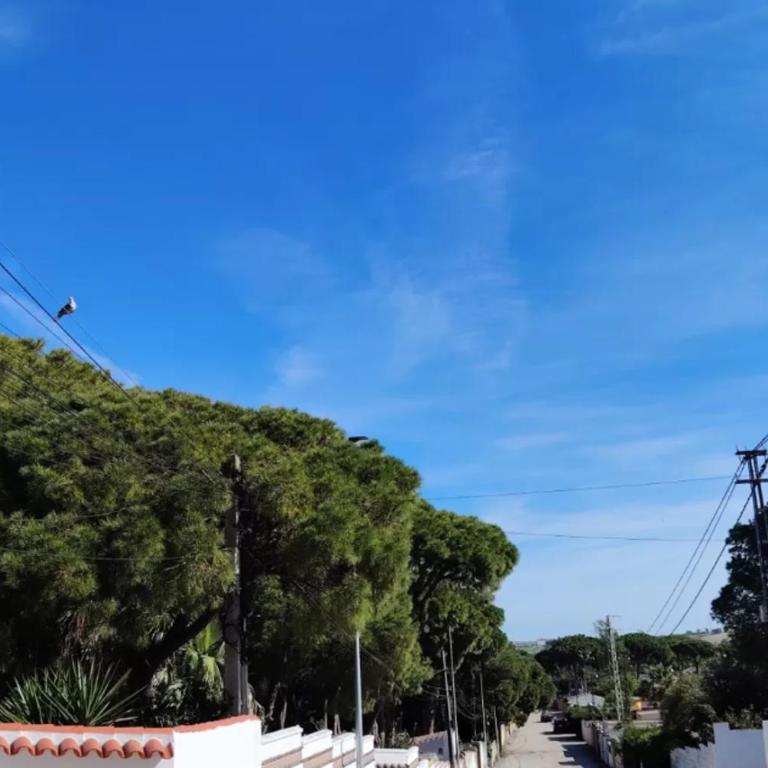 3 Bedrooms Villa,Pool, Spacious Garden & Parking ONLY FAMILIES - SÓLO FAMILIAS - Chalet - 29