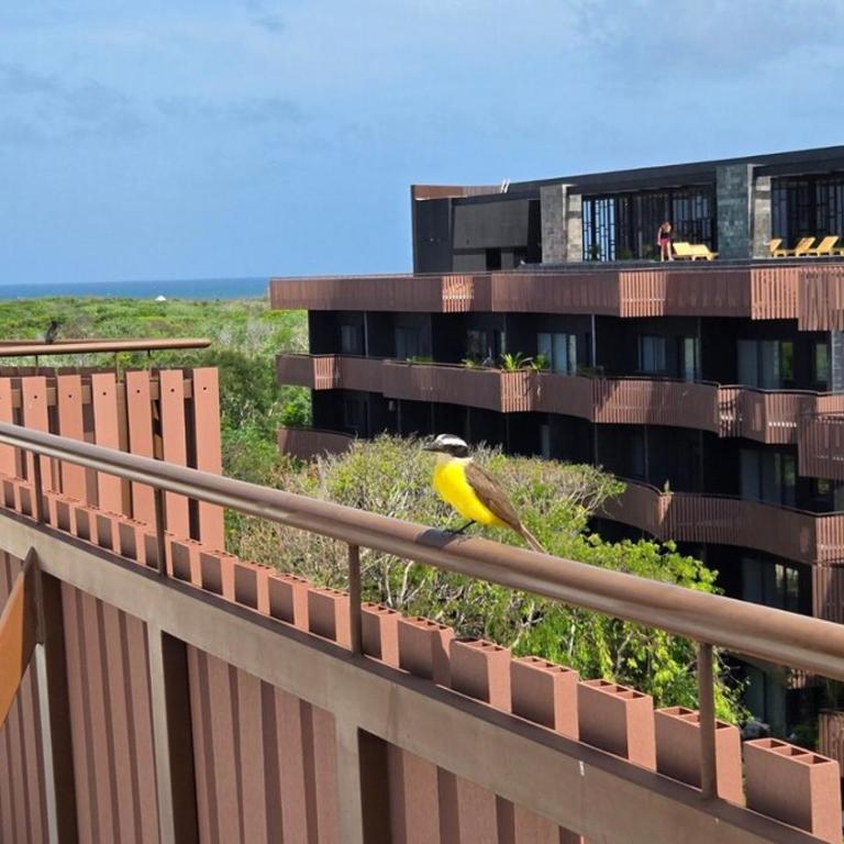 Tulum Hotel Zone - Walk to Beach - 4 Rooftop Pools - Apartment mit 2 Schlafzimmern - 47