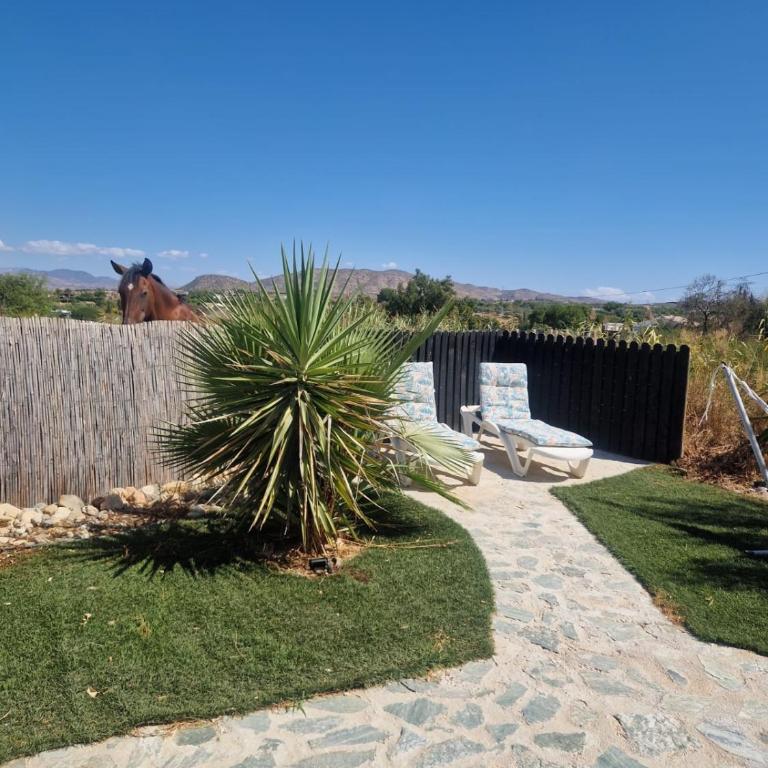 Casa Anna Rancho Pancho - Appartement 1 Chambre - 15