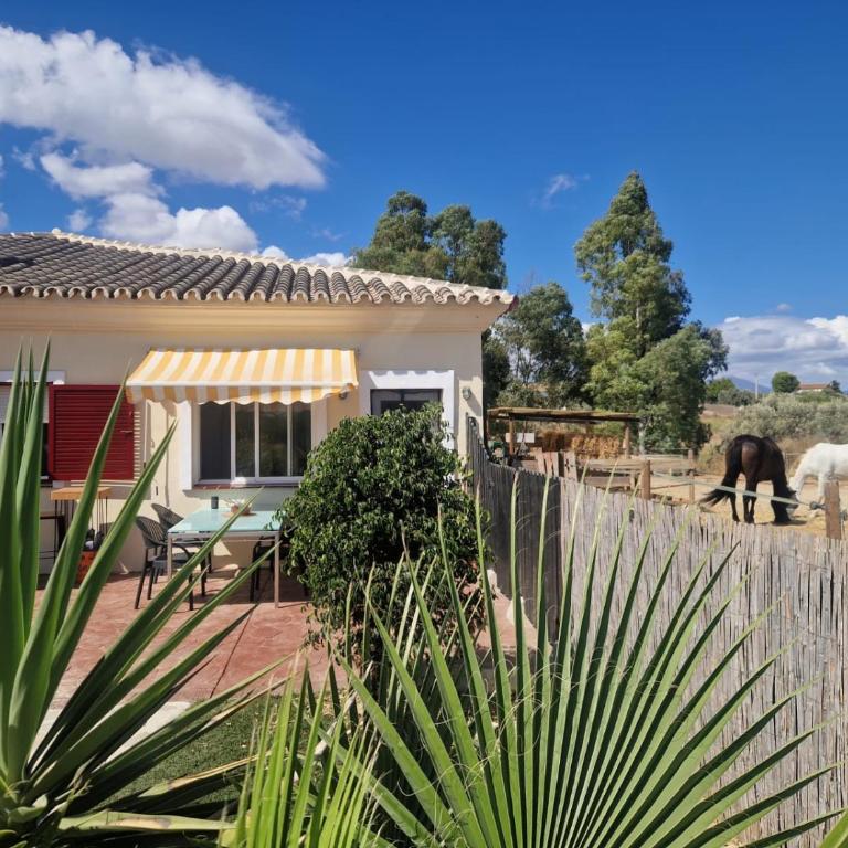 Casa Anna Rancho Pancho - Appartement 1 Chambre - 14