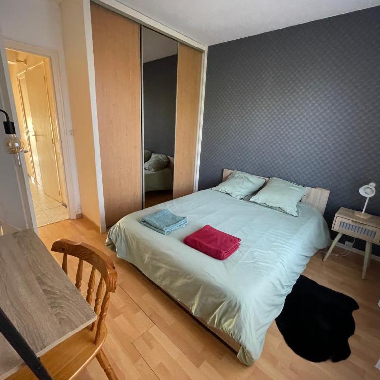 Appartement à 2km du circuit, proche tram, accès direct du circuit en tram en 5 mn - Apartment mit 2 Schlafzimmern - 14