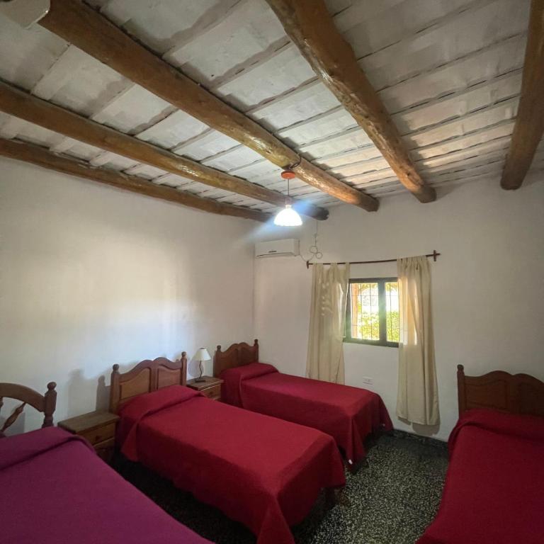 Cabañas Don Roque - Habitación Familiar con vistas a la montaña - 4
