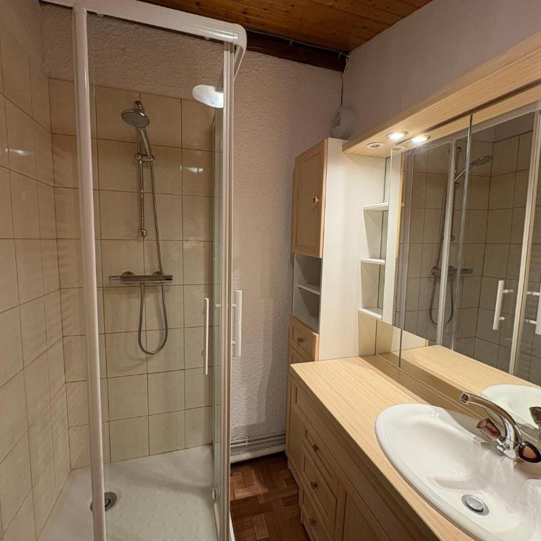 Appartement T2 Mezzanine 8 pers, ski au pied Les Saisies - One-Bedroom Apartment - 15