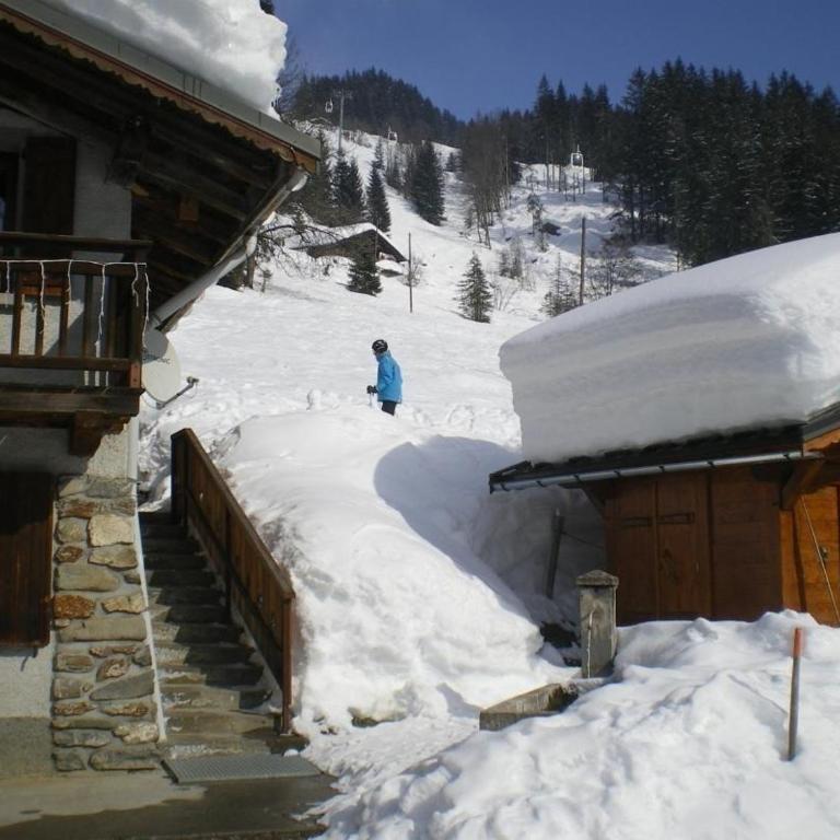 Le Chalet de La Pat - Appartement - Rez-de-Chaussée - 1