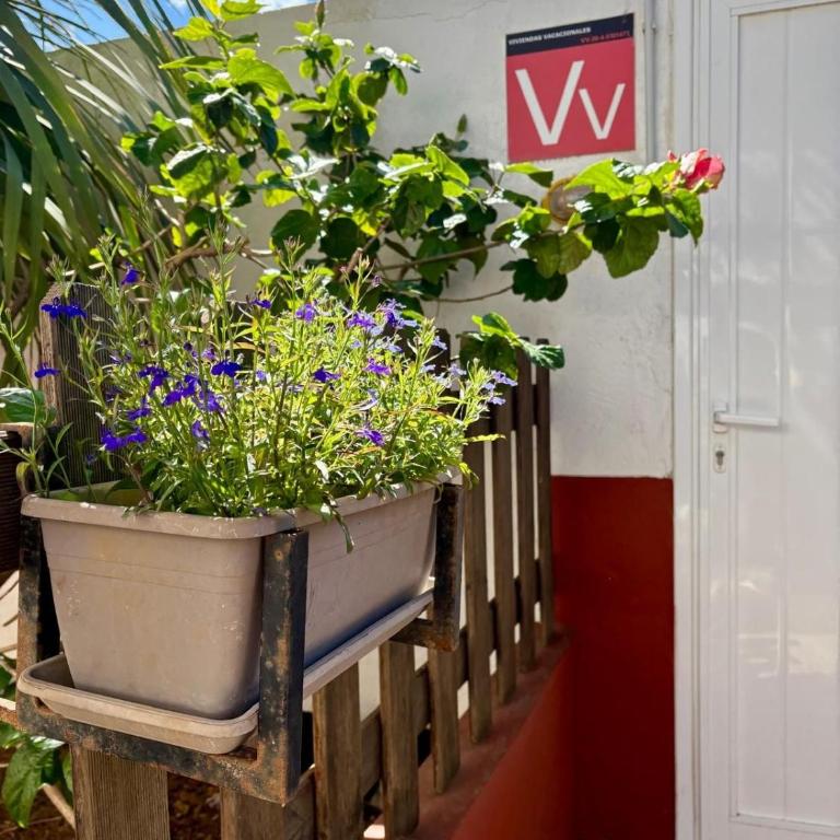 Entre Jardines - Apartment mit 1 Schlafzimmer - 22