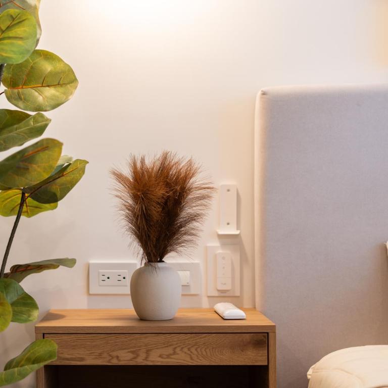 Modern Suite in the heart of Playa del Carmen - Appartement 1 Chambre - 19