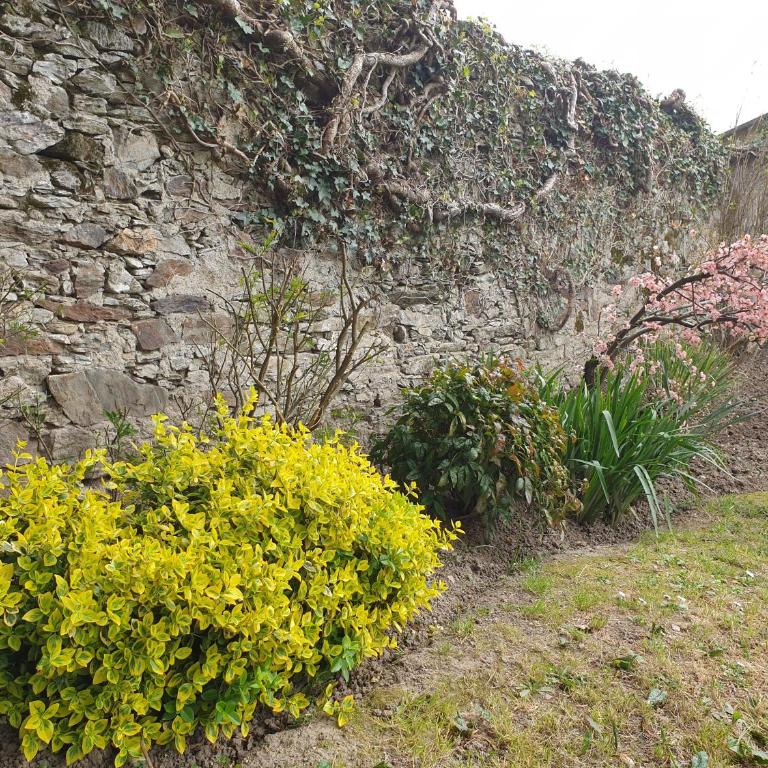 VILLA EPERONNIERE - Villa Deluxe - 71