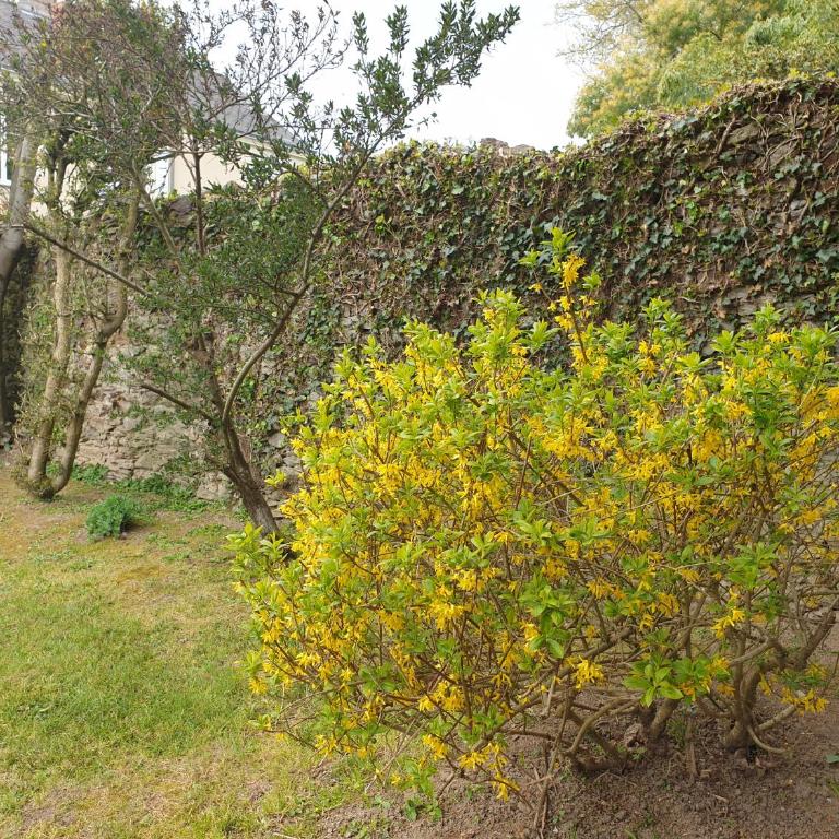 VILLA EPERONNIERE - Villa Deluxe - 70