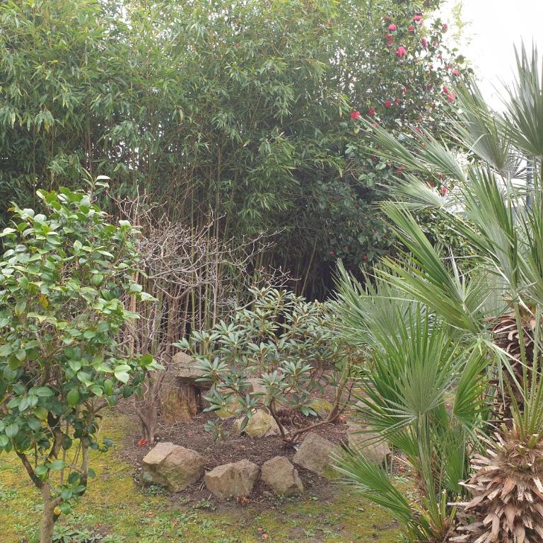 VILLA EPERONNIERE - Villa Deluxe - 87