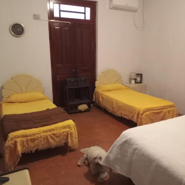 La Rosadita - Casa de 2 dormitorios - 16