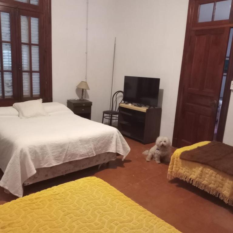 La Rosadita - Casa de 2 dormitorios - 17