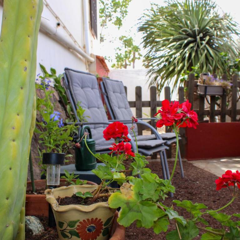 Entre Jardines - Apartment mit 1 Schlafzimmer - 20