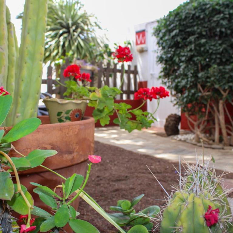 Entre Jardines - Apartment mit 1 Schlafzimmer - 21